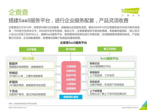2021年中國(guó)商業(yè)查詢市場(chǎng)深度解析及旅游開(kāi)發(fā)項(xiàng)目策劃咨詢應(yīng)用展望